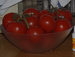 tomates PYT_6775.jpg